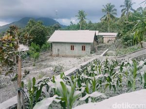Wings Air Tunda Operasi di Maumere Karena Erupsi Gunung Lewotobi
