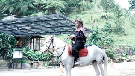 adv damar langit