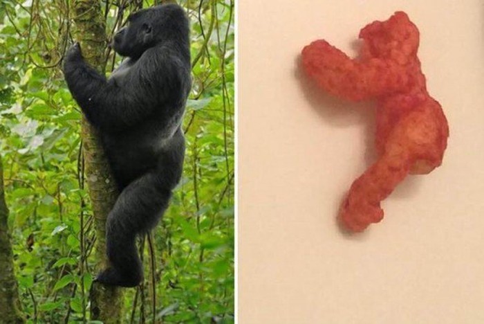 Gokil! Kepingan Cheetos hingga Sereal Dijual Miliaran Rupiah