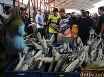 Indramayu Genjot Produksi Perikanan Lewat Ribuan Kapal dan Budi Daya