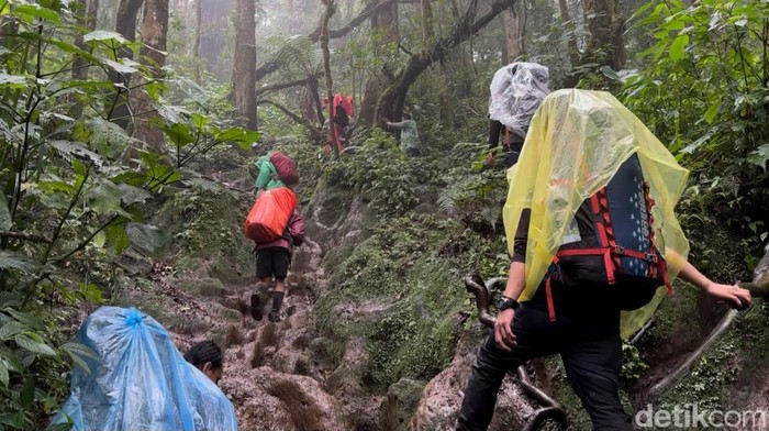 Aktivitas pendakian di Gunung Kerinci Jambi.