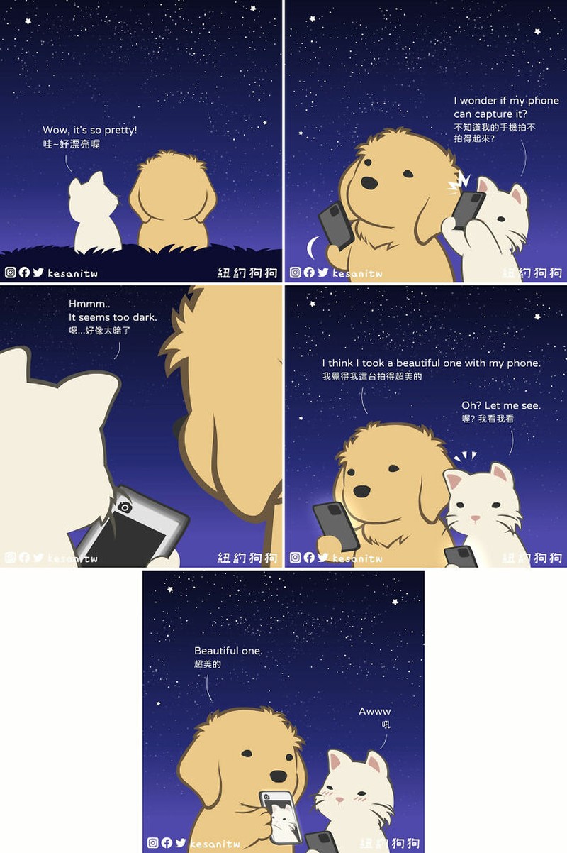 Seorang seniman digital bernama Pin-Tsung Lin atau lebih dikenal sebagai Kesanitw, membagikan komiknya yang romantis dan lucu di Instagrambta @kesanitw. Yuk cek detikers, siapa tahu bisa buat gombalin pasanganmu.