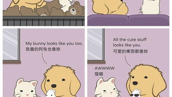 Pokoknya semua hal yang imut itu seperti pasanganmu. Foto: (Bored Panda).