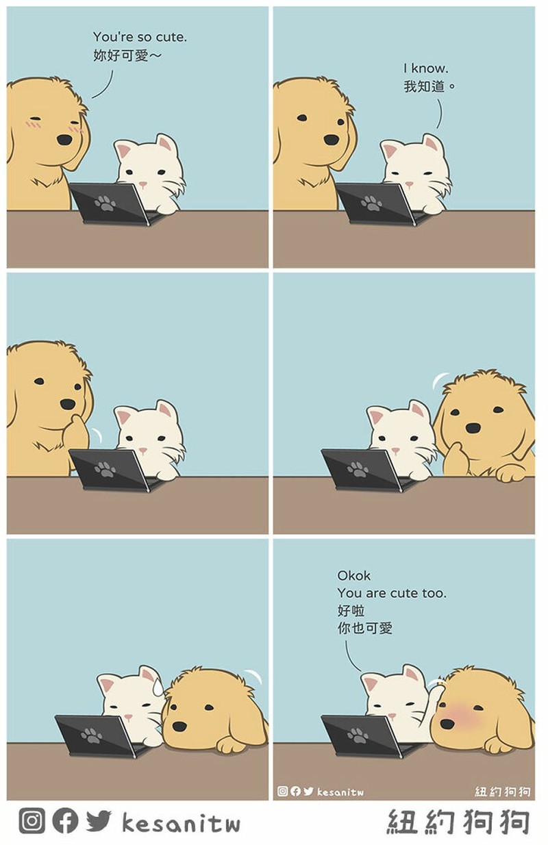 Seorang seniman digital bernama Pin-Tsung Lin atau lebih dikenal sebagai Kesanitw, membagikan komiknya yang romantis dan lucu di Instagrambta @kesanitw. Yuk cek detikers, siapa tahu bisa buat gombalin pasanganmu.