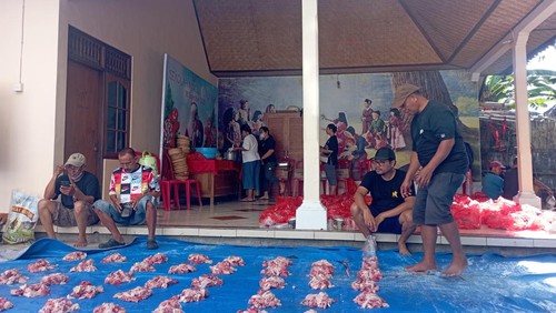 Gereja Kristen Protestan di Bali (GKPB) Tirta Empul Kerobokan menggelar tradisi nampah atau menyembelih babi menjelang Hari Raya Natal, Kamis (21/12/2023). (Foto: Istimewa)