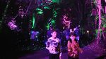 Menikmati Panorama Taman Safari di Nataru yang Penuh Warna-warni