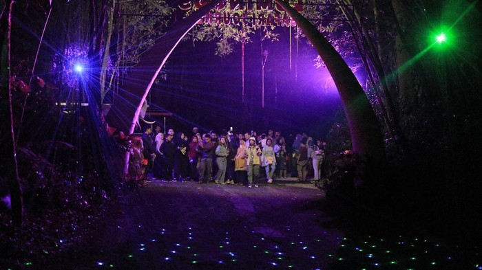 Luminous Journey di Taman Safari Bogor Luminous Journey di Taman Safari Bogor yang dibuka pada momen libur Natal dan Tahun Baru 2023.