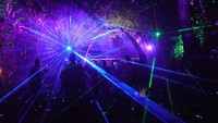 Pertunjukan spesial pada Nataru disuguhkan Taman Safari Bogor dalam event bertajuk Luminous Safari Journey. Event ini menyuguhkan pengalaman menapaki hutan dengan balutan ornamen lampu dan sorot pijar serta video mapping.