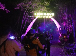 Seru! Taman Safari Sambut Nataru dengan Pertunjukan Luminous Journey