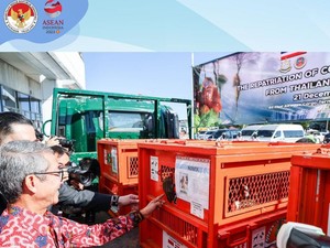 Shizuka Pulang Kampung ke Indonesia