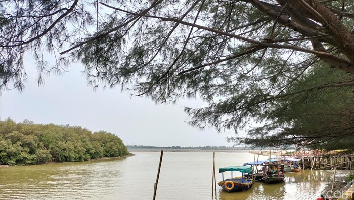 Potret pesisir Kota Surabaya