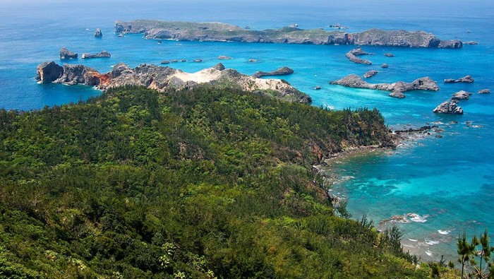 Pulau terbaru di dunia muncul di Jepang, bagaimana warganya menghadapi bentang alam yang kerap berubah?