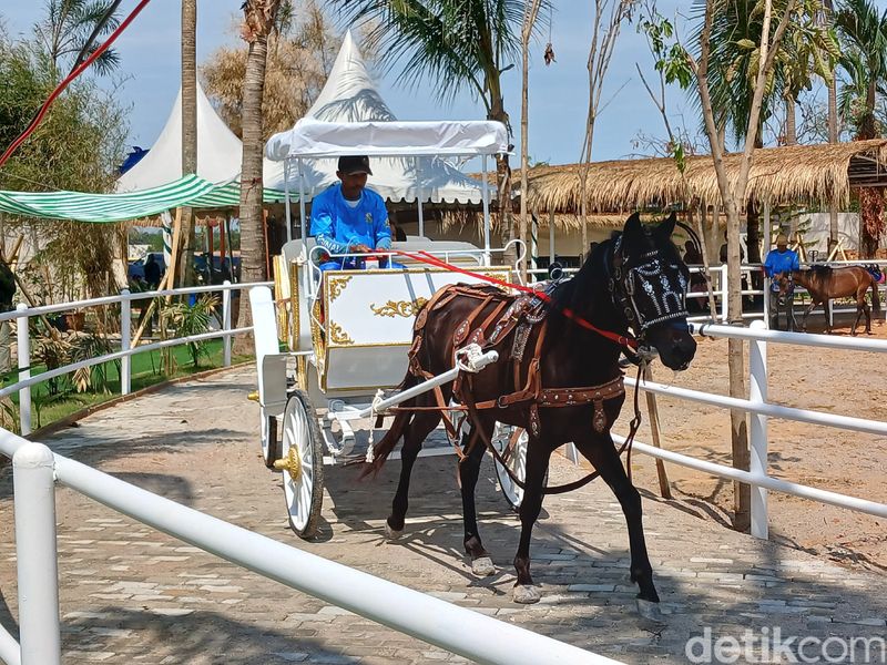 Suasana di Batam Zoo Paradise. (Alamudin Hamapu/detikSumut)