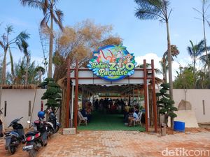 Serunya Akhir Pekan Bermain di Batam Zoo Paradise