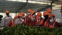 Persaingan yang ketat membuat DSC semakin kreatif dalam memberikan tantangan kepada para challengers. Dalam tahap ini challengers tidak hanya akan belajar tetapi juga memberikan kontribusi nyata untuk pengembangan dan keberlanjutan sebuah bisnis.