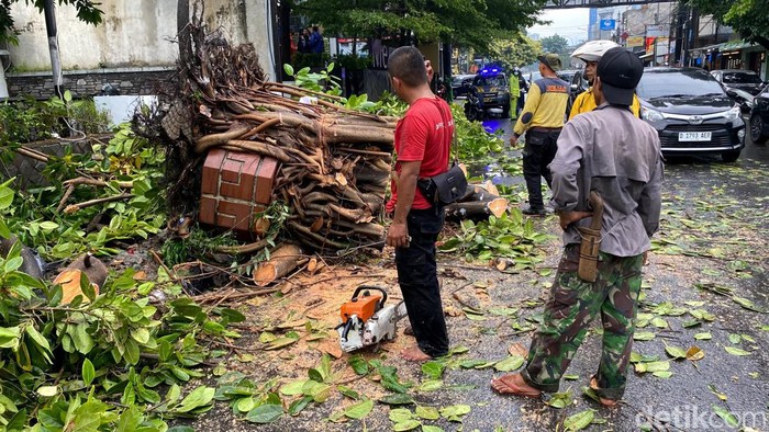 Penampakan pohon karet yang roboh di Jalan Lengkong Besar, Kota Bandung