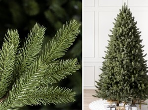 Pohon Natal Ternyata Bisa Membawa Hama Perusak Lingkungan, Ini Buktinya