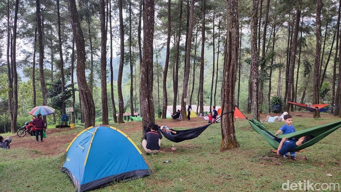 Aktivitas pengunjung di Obyek Wisata Hutan Pinus Darmacaang Hill Ciamis, Selasa (26/12/2023).