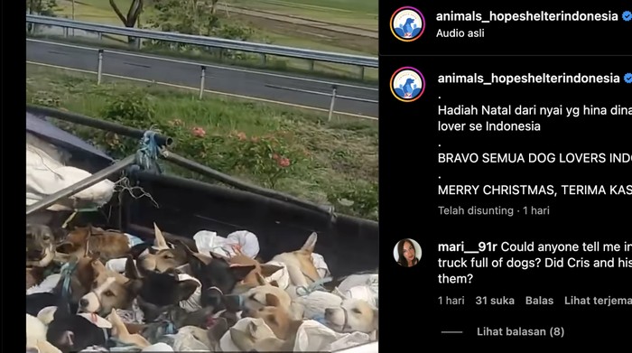 Jagal Anjing