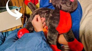 Si kucing dengan perpaduan hitam dan merah. Foto: Brightside  