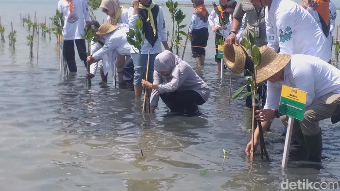 Khofifah saat menggelar pasar sembako murah dan tanam mangrove di Sumenep.