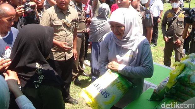 Khofifah saat menggelar pasar sembako murah dan tanam mangrove di Sumenep.