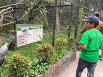 Kunjungan ke Siantar Zoo Naik 50 Persen Selama Nataru