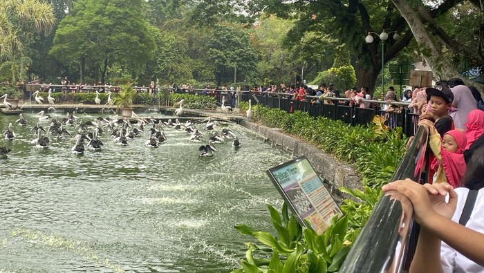 Ragunan