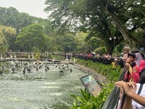 Suasana Taman Margasatwa Ragunan di Penghujung Tahun 2023