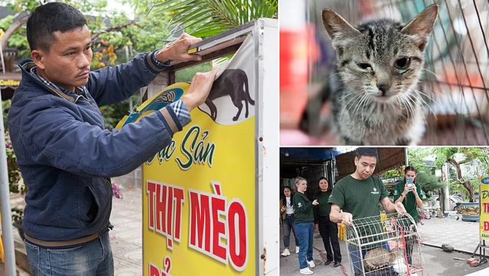 Restoran Vietnam yang Sajikan Sup Daging Kucing Ini Akhirnya Resmi Ditutup
