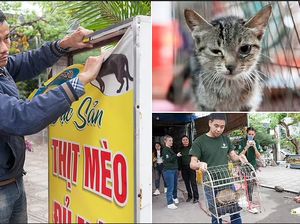 Restoran Vietnam yang Sajikan Sup Daging Kucing Akhirnya Resmi Ditutup