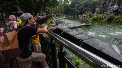 Taman Margasatwa Ragunan Diserbu Warga