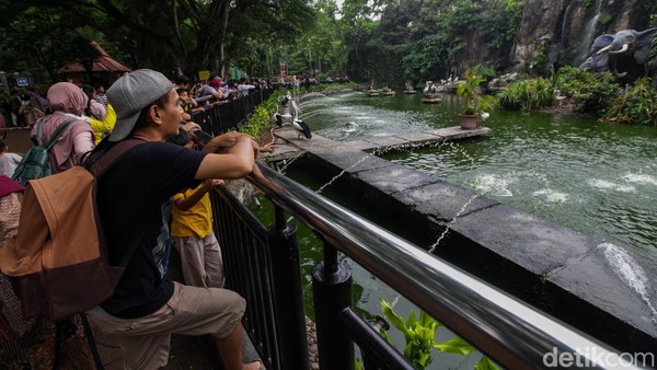 Taman Margasatwa Ragunan Diserbu Warga