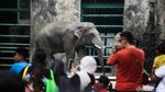 Taman Margasatwa Ragunan Diserbu Warga