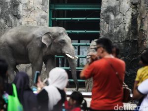 10 Anak Terpisah dari Orang Tua Saat Ragunan Dipenuhi Pengunjung Hari Ini