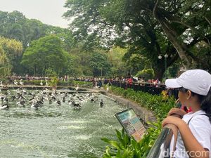 Pengelola TM Ragunan Prediksi Puncak Pengunjung 1 Januari 2024