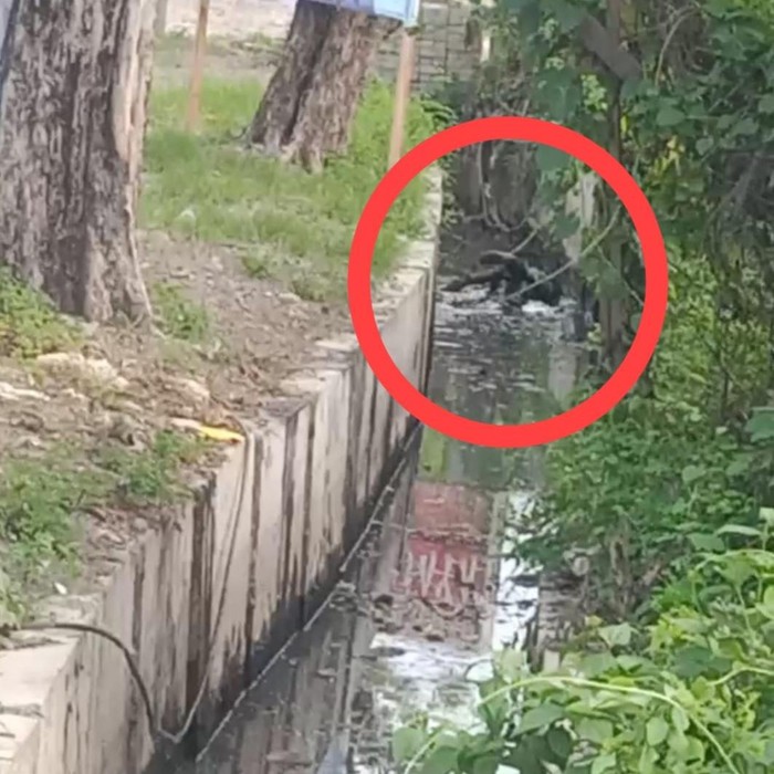 Tewas berkelahi di parit Gresik