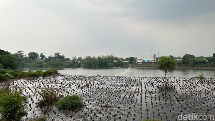 Dam Sipon Mojokerto, lokasi pemuda tersambar petir saat mancing.