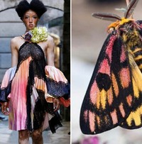 Foto Fashion dan Alam