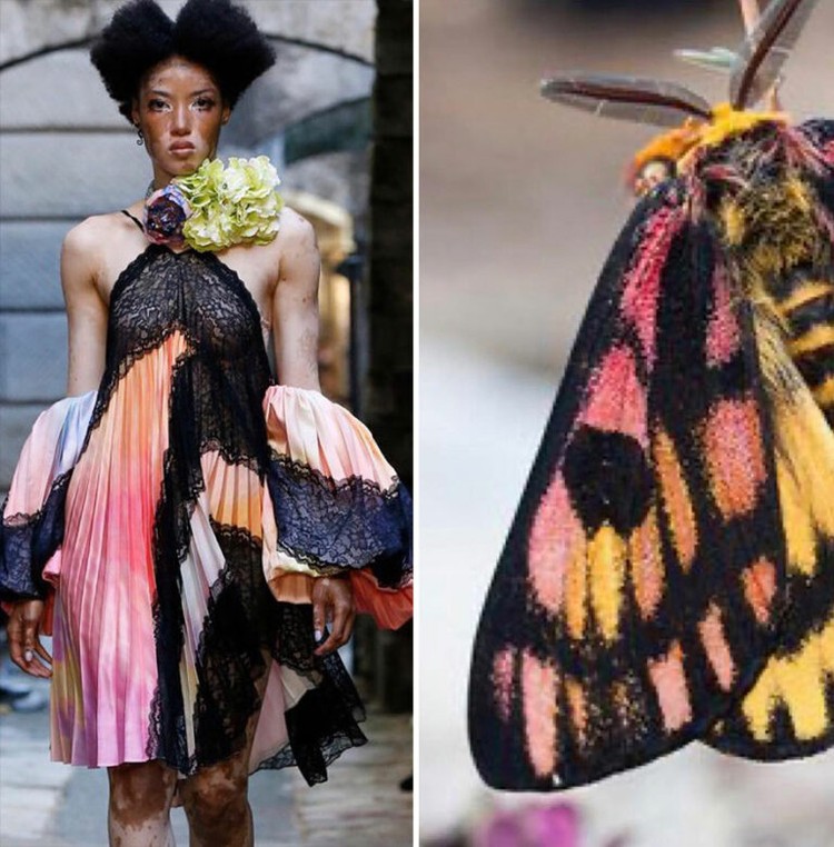 Foto Fashion dan Alam