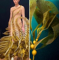 Foto Fashion dan Alam