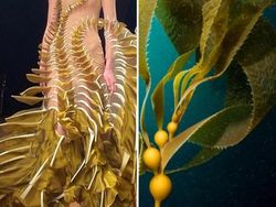 Ketika Foto Fashion dan Alam Disandingkan Bikin Tercengang