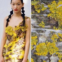 Foto Fashion dan Alam