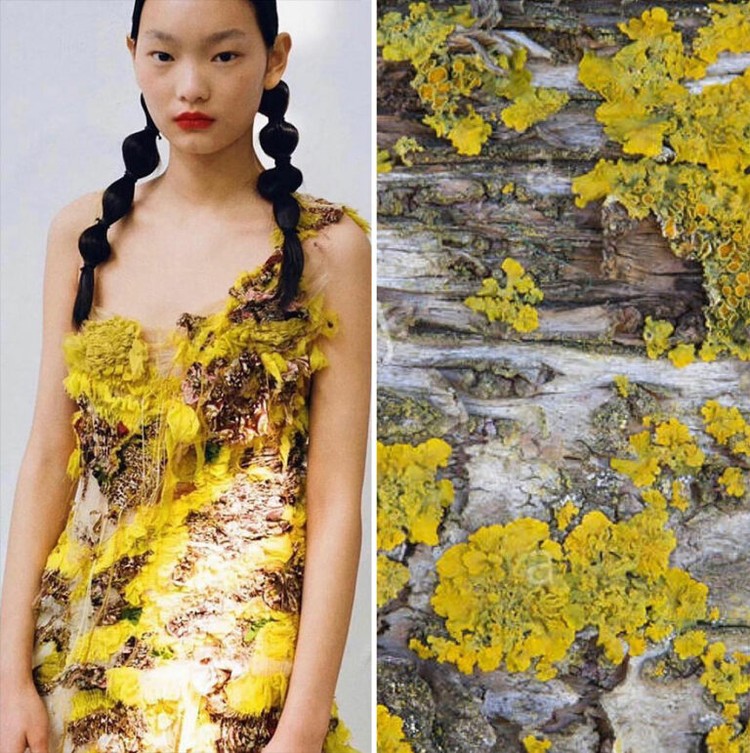 Foto Fashion dan Alam