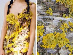 Ketika Foto Fashion dan Alam Disandingkan Bikin Tercengang