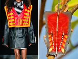 Ketika Foto Fashion dan Alam Disandingkan Bikin Tercengang