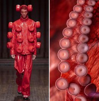 Foto Fashion dan Alam