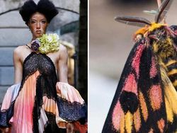 Ketika Foto Fashion dan Alam Disandingkan Bikin Tercengang