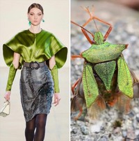 Foto Fashion dan Alam