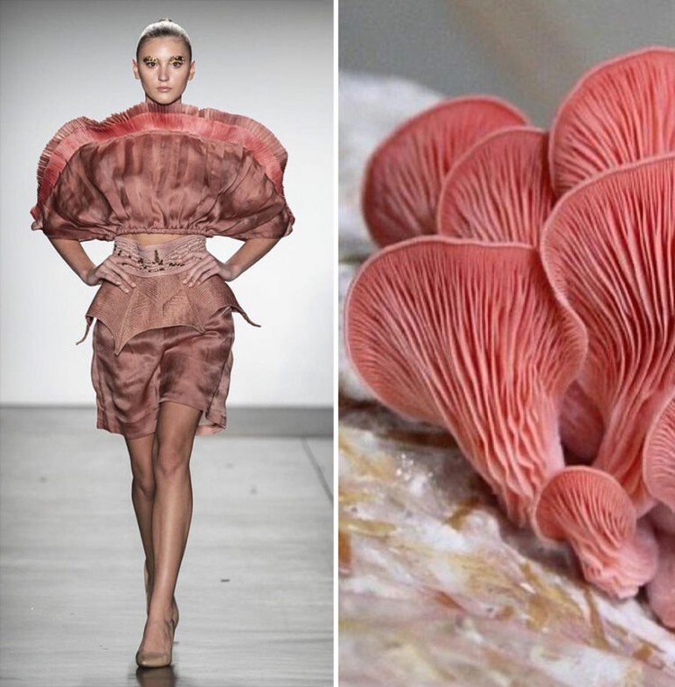Foto Fashion dan Alam